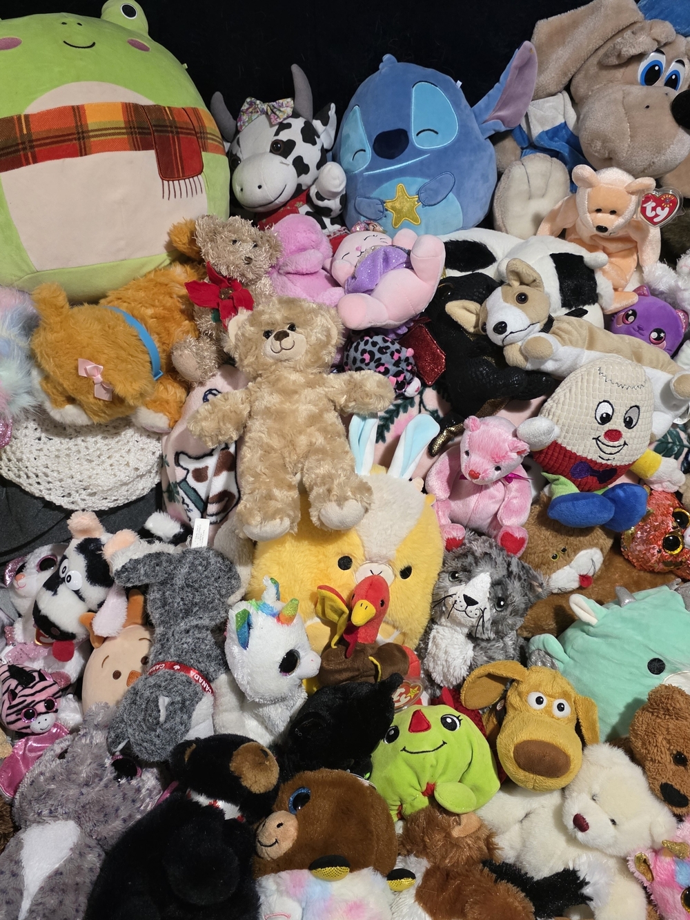 π§Έβ¨ MYSTERY PLUSH CLEAR-OUT BOX! β¨π§Έ - Picture 2 of 3